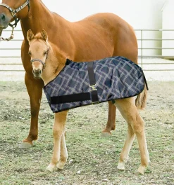 KENSINGTON ™ Signature Adjustable Small Foal Turnout Blanket- Turnout Blankets