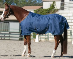 KENSINGTON ™ Signature Heavyweight Turnout Blanket- Turnout Blankets