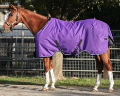 KENSINGTON ™ Signature Heavyweight Turnout Blanket- Turnout Blankets