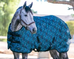 KENSINGTON ™ Signature Heavyweight Turnout Blanket- Turnout Blankets