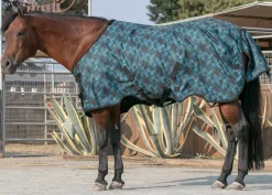 KENSINGTON ™ Signature Lightweight Turnout Blanket- Turnout Blankets