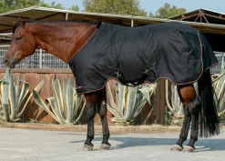 KENSINGTON ™ Signature Medium-Weight Turnout Blanket- Turnout Blankets