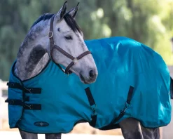KENSINGTON ™ Signature Medium-Weight Turnout Blanket- Turnout Blankets