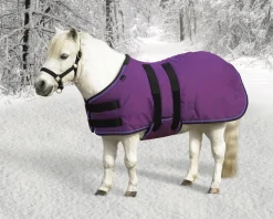 KENSINGTON ™ Signature Mini Heavyweight Turnout Blanket- Turnout Blankets