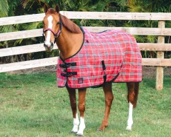 KENSINGTON ™ Signature Protective SureFit® Textilene®Fly Sheet- Fly Control|Fly Sheets