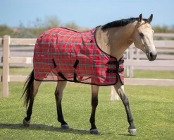 KENSINGTON ™ Signature Protective SureFit® Textilene®Fly Sheet- Fly Control|Fly Sheets