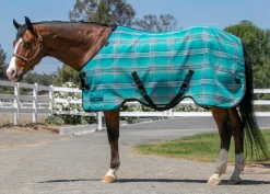 KENSINGTON ™ Signature Protective SureFit® Textilene®Fly Sheet- Fly Control|Fly Sheets