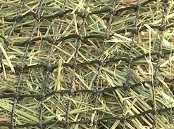 KENSINGTON ™ Slow Feed 2-Flake Hay Bag- Hay Bags, Nets & Racks|Stable Hardware