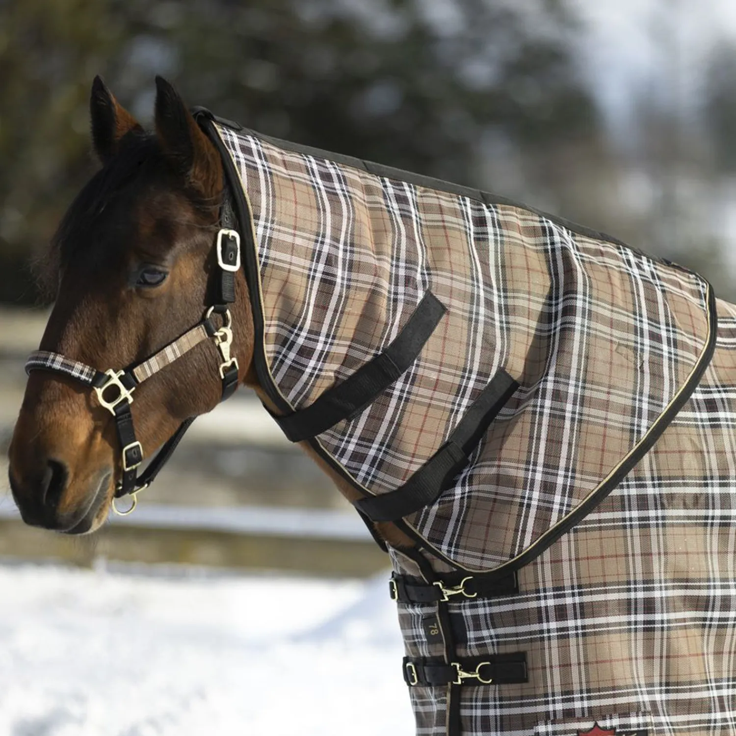 KENSINGTON ™ SuperMesh 300 Gram Heavyweight Neck Warmer- Turnout Blankets