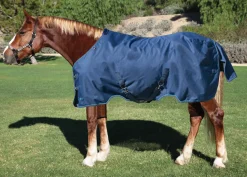 KENSINGTON ™ XL Signature Medium-Weight Turnout Blanket- Turnout Blankets