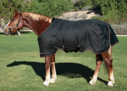 KENSINGTON ™ XL Signature Medium-Weight Turnout Blanket- Turnout Blankets