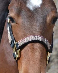 KENSINGTON ™ Premium Halter- Halters