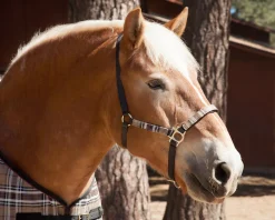 KENSINGTON ™ Premium Halter- Halters