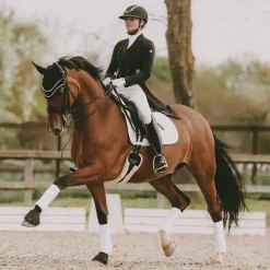 KENTUCKY HORSEWEAR Wellington Big Stone & Pearl Fly Veil- Ear Bonnets|Ear Bonnets