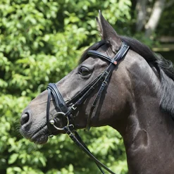 KIEFFER SATTLERWAREN Kieffer Perseus Clincher Snaffle Bridle- English Bridles