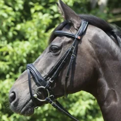 KIEFFER SATTLERWAREN Kieffer Perseus Snaffle Bridle with Plain Browband- English Bridles