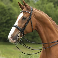 KIEFFER SATTLERWAREN Kieffer Sylvie Double Bridle- English Bridles