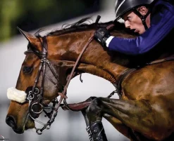 KHK HOLDINGS LLC Kunkle Show Gloves- Riding Gloves