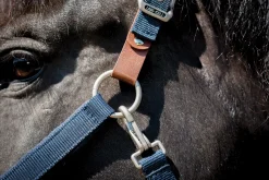 PARTRADE Lami-Cell Fleece-Lined Halter- Halters