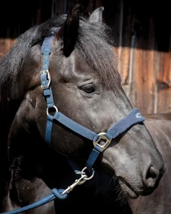 PARTRADE Lami-Cell Fleece-Lined Halter- Halters