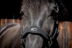 PARTRADE Lami-Cell Fleece-Lined Halter- Halters