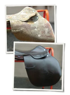 ANIMAL HEALTH INT Leather Therapy® Restorer & Conditioner™- Saddle Covers & Leather Care