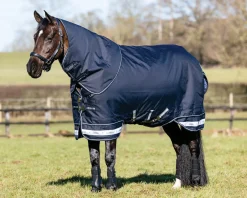 HORSE HEALTH TRADE LeMieux® Arika Storm-Tek 100 Gram Turnout Blanket with Leg Straps- Turnout Blankets