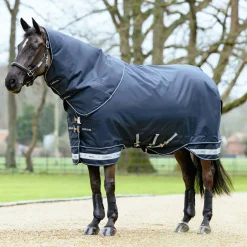 HORSE HEALTH TRADE LeMieux® Arika Storm-Tek 350 Gram Turnout Blanket with Leg Straps- Turnout Blankets