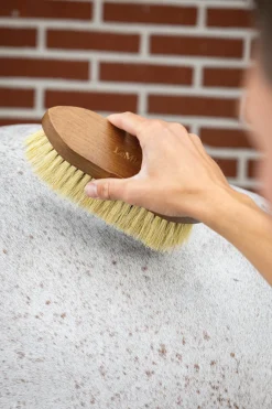 HORSE HEALTH TRADE LeMieux® Artisan Soft Finishing Brush- Brushes & Hoof Picks