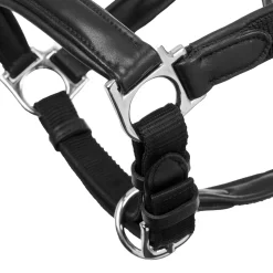 HORSE HEALTH TRADE LeMieux® Capella Halter- Halters