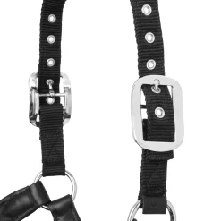 HORSE HEALTH TRADE LeMieux® Capella Halter- Halters