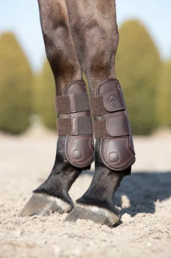 HORSE HEALTH TRADE LeMieux® Capella Tendon Boots- Horse Boots