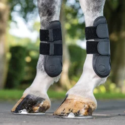 HORSE HEALTH TRADE LeMieux® Capella Tendon Boots- Horse Boots