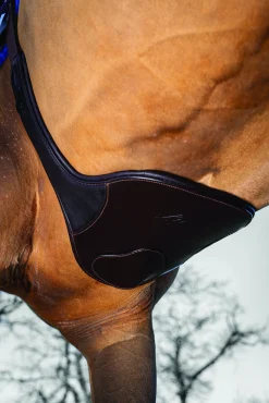 HORSE HEALTH TRADE LeMieux® Gel-Tek Anatomic Long Stud Girth with Magnet- Girths & Accessories
