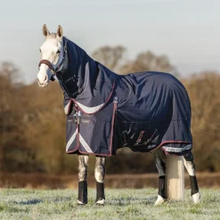 HORSE HEALTH TRADE LeMieux® Kudos 200 Gram Turnout Blanket with Leg Straps- Turnout Blankets