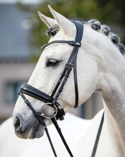 HORSE HEALTH TRADE LeMieux® Kudos Dressage Flash Bridle- English Bridles