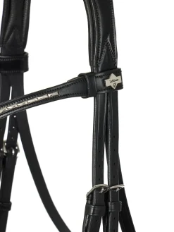 HORSE HEALTH TRADE LeMieux® Kudos Dressage Flash Bridle- English Bridles