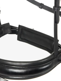 HORSE HEALTH TRADE LeMieux® Kudos Dressage Flash Bridle- English Bridles