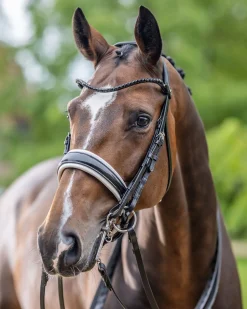 HORSE HEALTH TRADE LeMieux® Kudos Patent Double Bridle- English Bridles