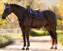 HORSE HEALTH TRADE LeMieux® Loire Classic Close Contact Saddle Pad- Close Contact Saddle Pads