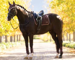 HORSE HEALTH TRADE LeMieux® Loire Classic Dressage Saddle Pad- Dressage Pads|Close Contact Saddle Pads