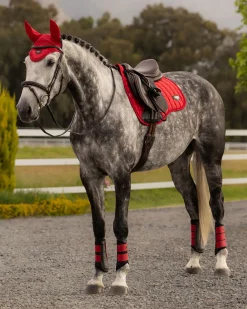 HORSE HEALTH TRADE LEMIEUX® LOIRE GP SADDLE PAD- Close Contact Saddle Pads