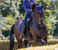 HORSE HEALTH TRADE LeMieux® Loire Satin Fly Bonnet- Ear Bonnets|Ear Bonnets