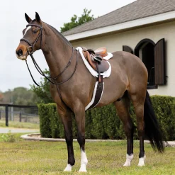 HORSE HEALTH TRADE LeMieux® Merino+ Hunter Saddle Pad- Close Contact Saddle Pads