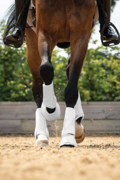 HORSE HEALTH TRADE LeMieux® Motionflex Dressage Boots- Horse Boots