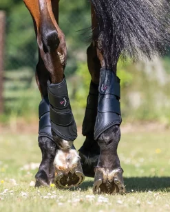 HORSE HEALTH TRADE LeMieux® ProShell Brushing Boots- Horse Boots