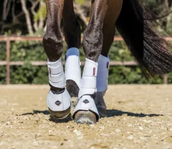 HORSE HEALTH TRADE LeMieux® ProShell Overreach Boots- Bell Boots|Bell Boots