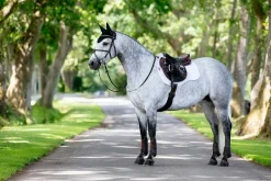 HORSE HEALTH TRADE LeMieux® Suede GP Saddle Pad- Close Contact Saddle Pads