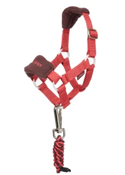 HORSE HEALTH TRADE LeMieux® Toy Pony Halter-Kids Gifts|Home Décor
