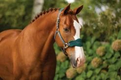 HORSE HEALTH TRADE LeMieux® Vogue Halter & Lead Rope Set- Halters